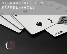 Harbour Heights  paardenraces