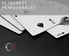 Heiderott  paardenraces