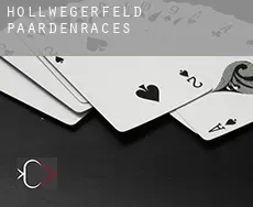 Hollwegerfeld  paardenraces