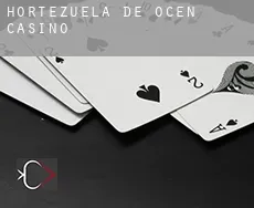 Hortezuela de Océn  casino