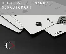 Hughesville Manor  gokautomaat