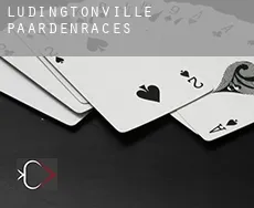 Ludingtonville  paardenraces