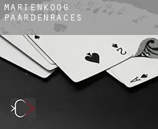 Marienkoog paardenraces