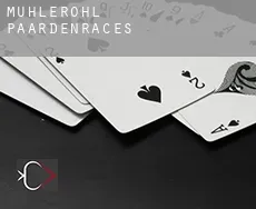 Muhlerohl  paardenraces