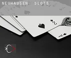 Neuhausen  slots