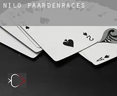 Nilo  paardenraces