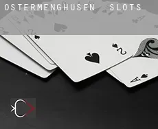 Ostermenghusen slots