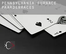 Pennsylvania Furnace  paardenraces