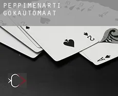 Peppimenarti  gokautomaat