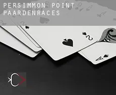 Persimmon Point  paardenraces