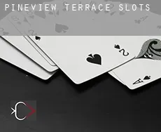 Pineview Terrace  slots