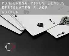 Ponderosa Pines  gokken