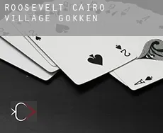 Roosevelt-Cairo Village  gokken