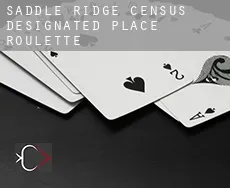 Saddle Ridge  roulette
