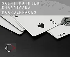 Saint-Mathieu-d'Harricana  paardenraces