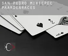 San Pedro Mixtepec paardenraces