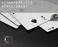 Schwaighausen  gokautomaat