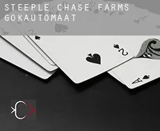 Steeple Chase Farms gokautomaat