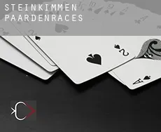 Steinkimmen  paardenraces