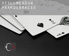 Stillmeadow  paardenraces