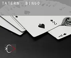 Tatern bingo