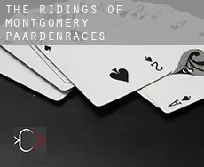 The Ridings of Montgomery  paardenraces