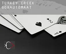 Turkey Creek gokautomaat