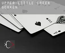 Upper Little Creek  gokken