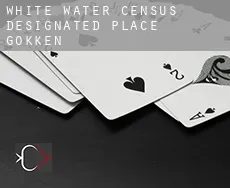 White Water  gokken
