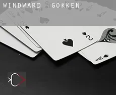 Windward  gokken