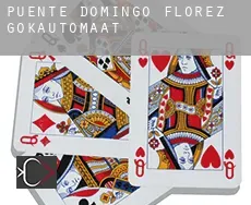 Puente de Domingo Flórez  gokautomaat