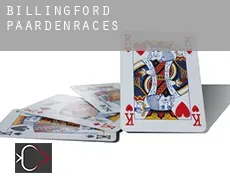 Billingford  paardenraces