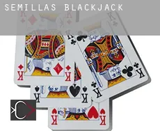 Semillas  blackjack