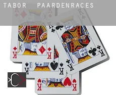 Tabor  paardenraces