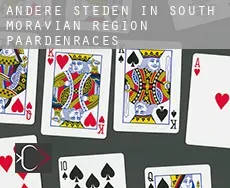 Andere steden in South Moravian Region paardenraces