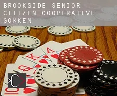 Brookside Senior Citizen Cooperative  gokken