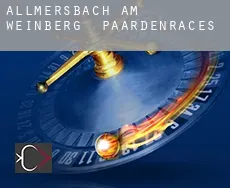 Allmersbach am Weinberg paardenraces