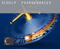 Schülp  paardenraces