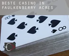 Beste casino in  Faulkenberry Acres