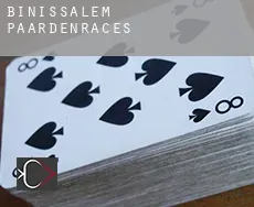 Binissalem  paardenraces