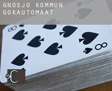 Gnosjö Kommun  gokautomaat