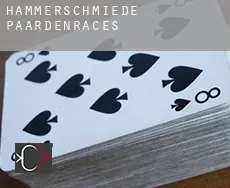 Hammerschmiede paardenraces