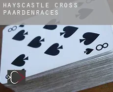 Hayscastle Cross  paardenraces