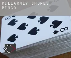 Killarney Shores  bingo