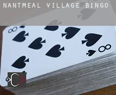Nantmeal Village  bingo