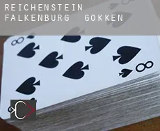 Reichenstein Falkenburg  gokken