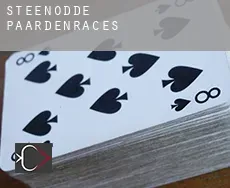 Steenodde  paardenraces