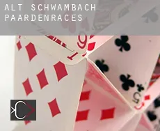 Alt Schwambach  paardenraces