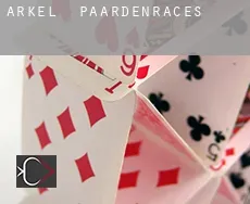Arkel paardenraces
