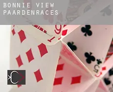 Bonnie View  paardenraces